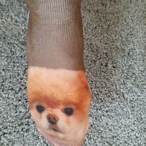 Accessories - NWOT Pomeranian Socks Accessories - NWOT Pomeranian Socks